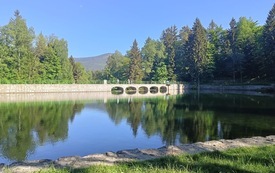 d468257d-e047-4b84-90ce-c8e0d0d3f7a3.jpeg