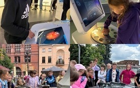 IMG_5372.jpeg